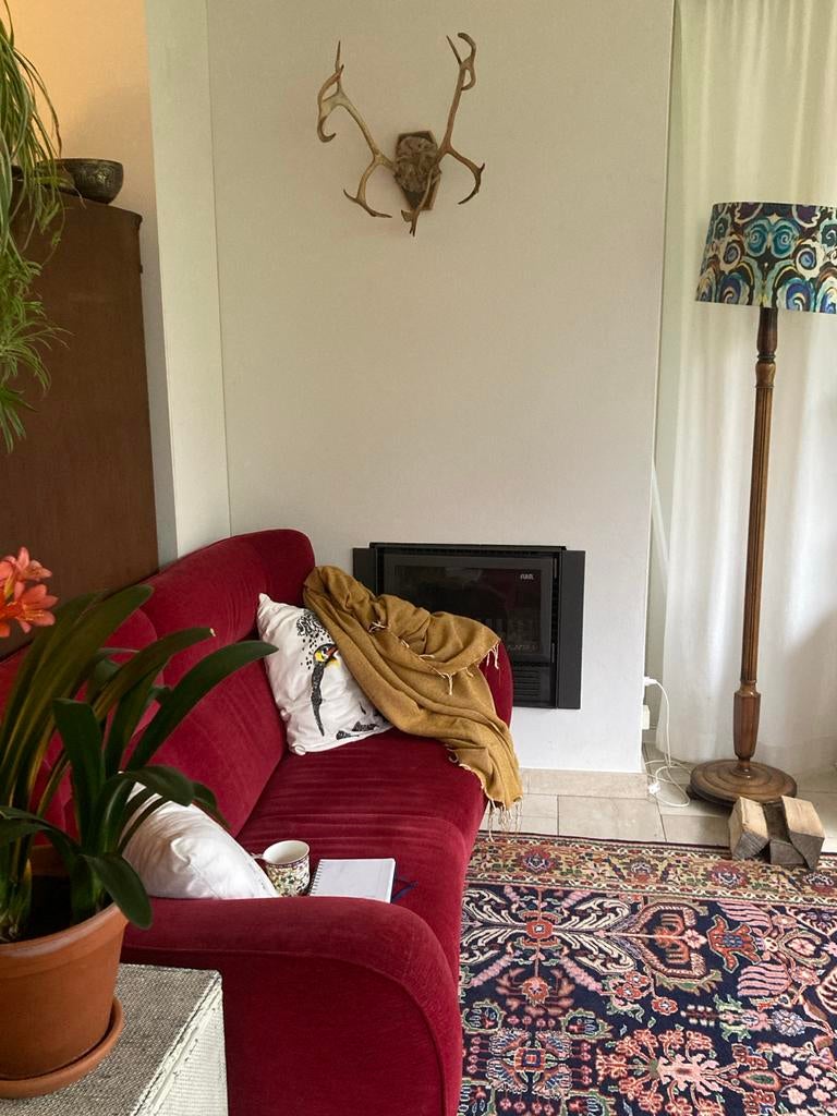 Antiek Herten Gewei met Vacht - Wanddecoratie, Ophalen, Gebruikt