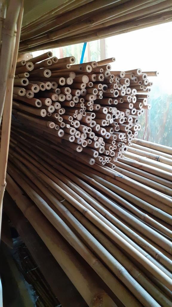 BAMBOE STOKKEN / PALEN TONKIN STOKKEN, Tuin en Terras, Overige Tuin en Terras, Hillegom/Zwanenburg/Amsterdam, Nieuw, Gabe@bamboer.com