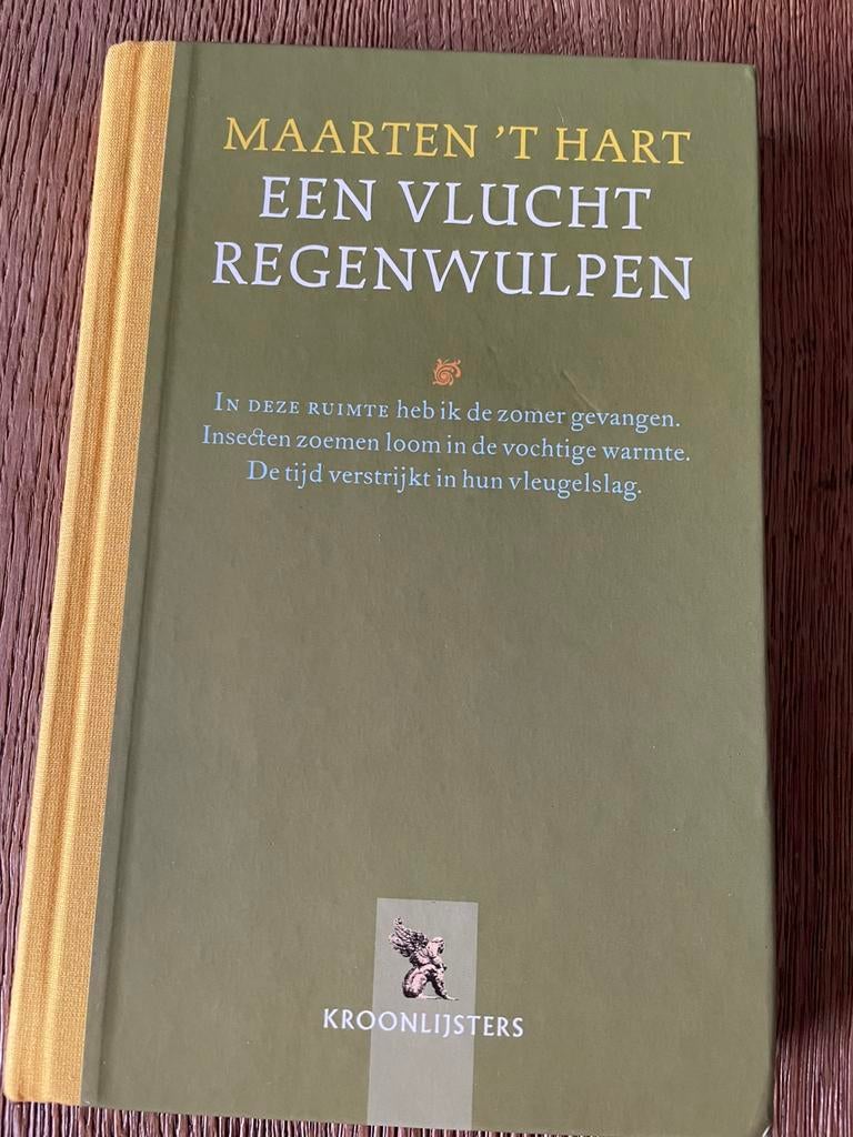 Een vlucht regenwulpen – Maarten ’t Hart, Ophalen of Verzenden, Gelezen