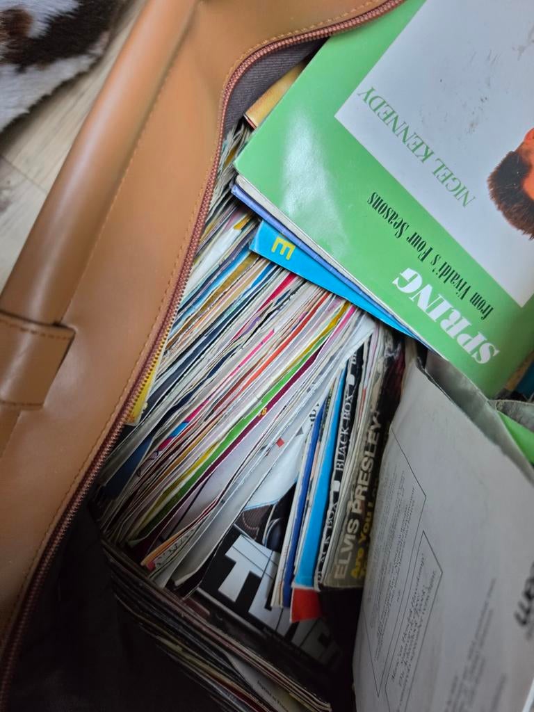 Partij platen singels, Ophalen of Verzenden