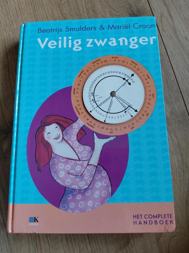 Gratis: Veilig zwanger - Beatrijs Smulders, Ophalen, Beatrijs Smulders; Mariel Croon, Zwangerschap en Bevalling, Zo goed als nieuw