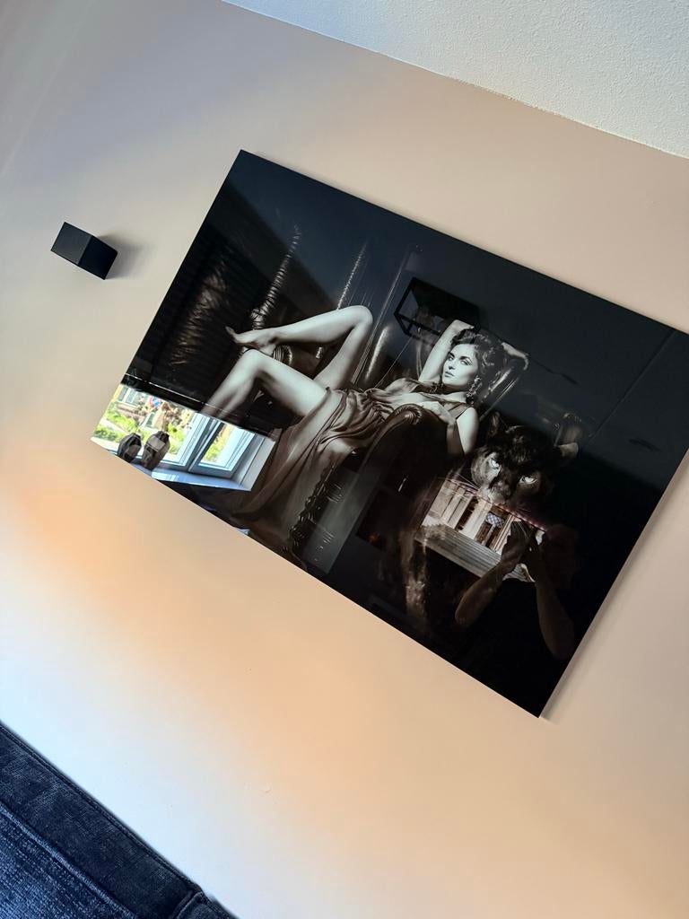 Wandpaneel glas vrouw met panter 120x80 cm, Ophalen, Zo goed als nieuw