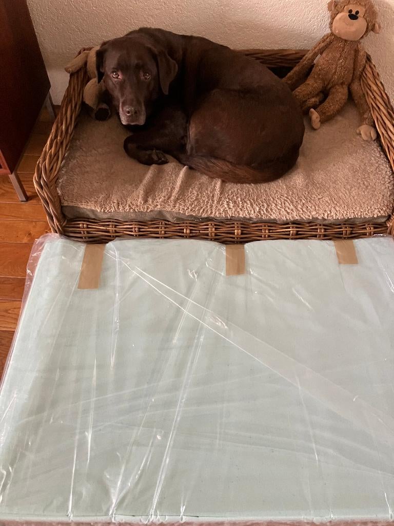 orthopedisch kussen memory foam  (90x62x10cm) voor hondenbed, Ophalen, Nieuw, Overige