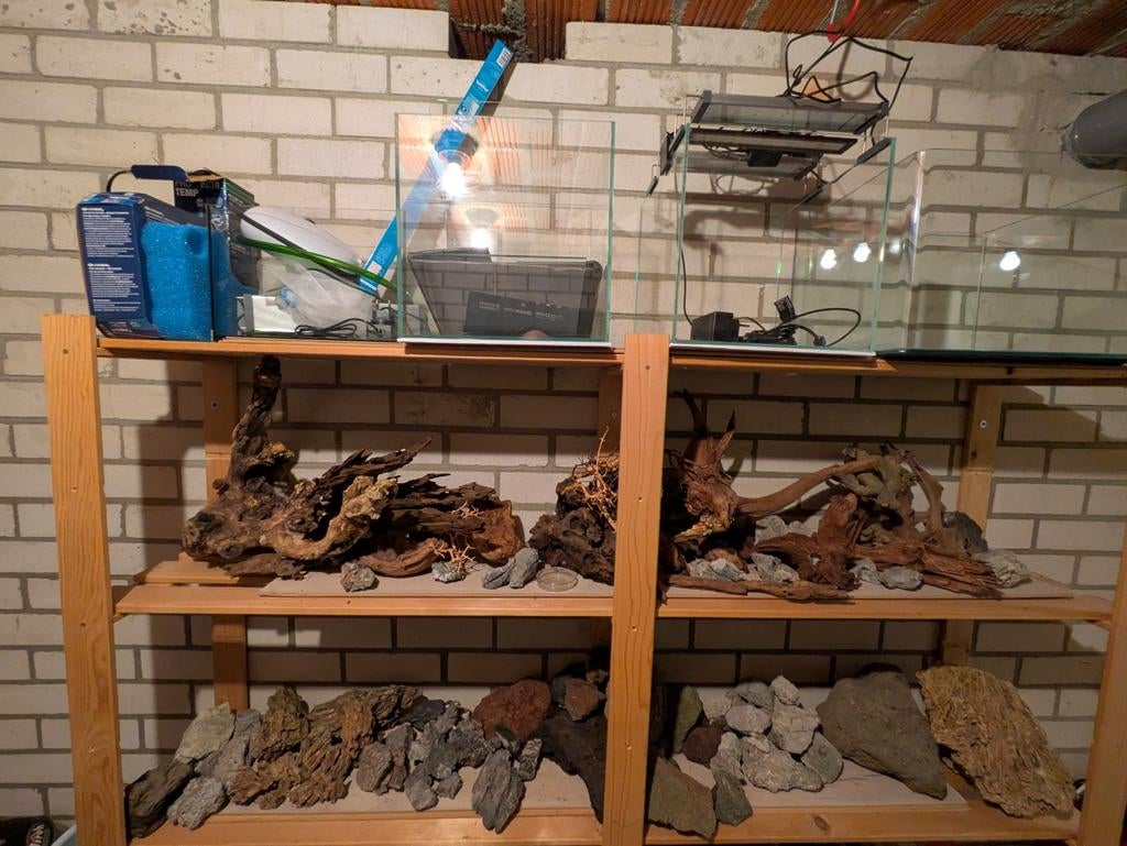 Aquarium benodigheden, Ophalen, Plant(en), Steen of Hout