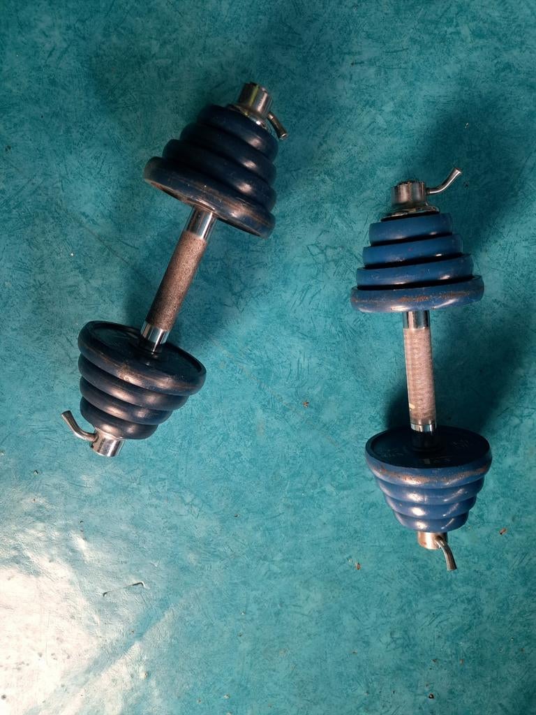 dumbbells verstelbaar / halter set 2 x 15 kg, Ophalen, Zo goed als nieuw, Dumbbell