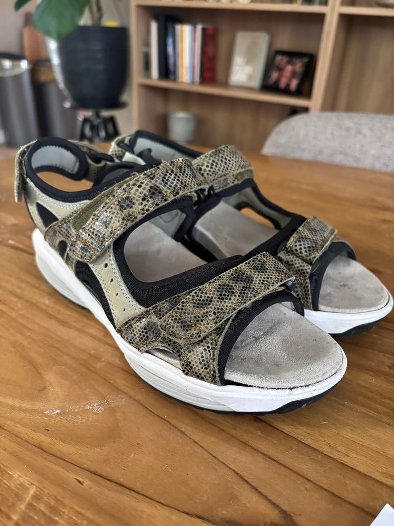 Xsensible dames sandalen mt38 slangenprint izgs, Kleding | Dames, Schoenen, Zo goed als nieuw, Groen, Sandalen of Muiltjes, Ophalen of Verzenden
