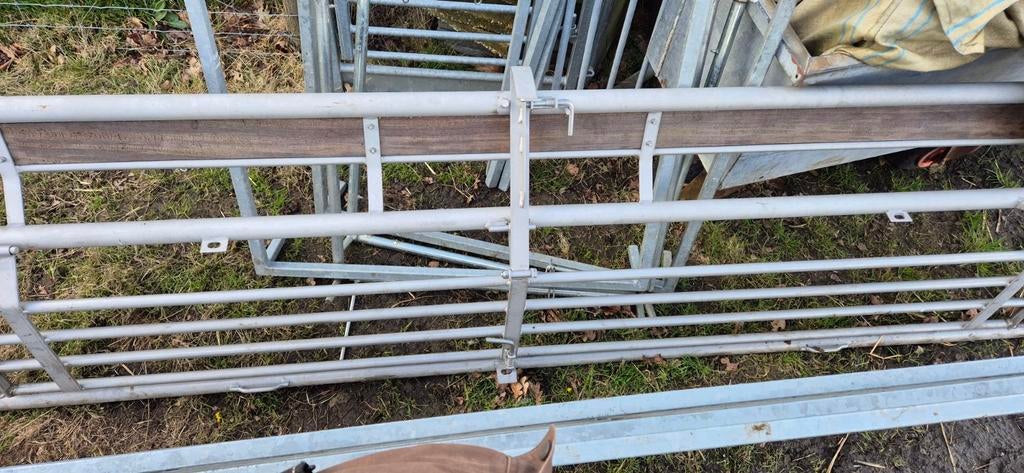 Schapen / kalveren voerhek, Dieren en Toebehoren, Vrouwelijk, Schaap