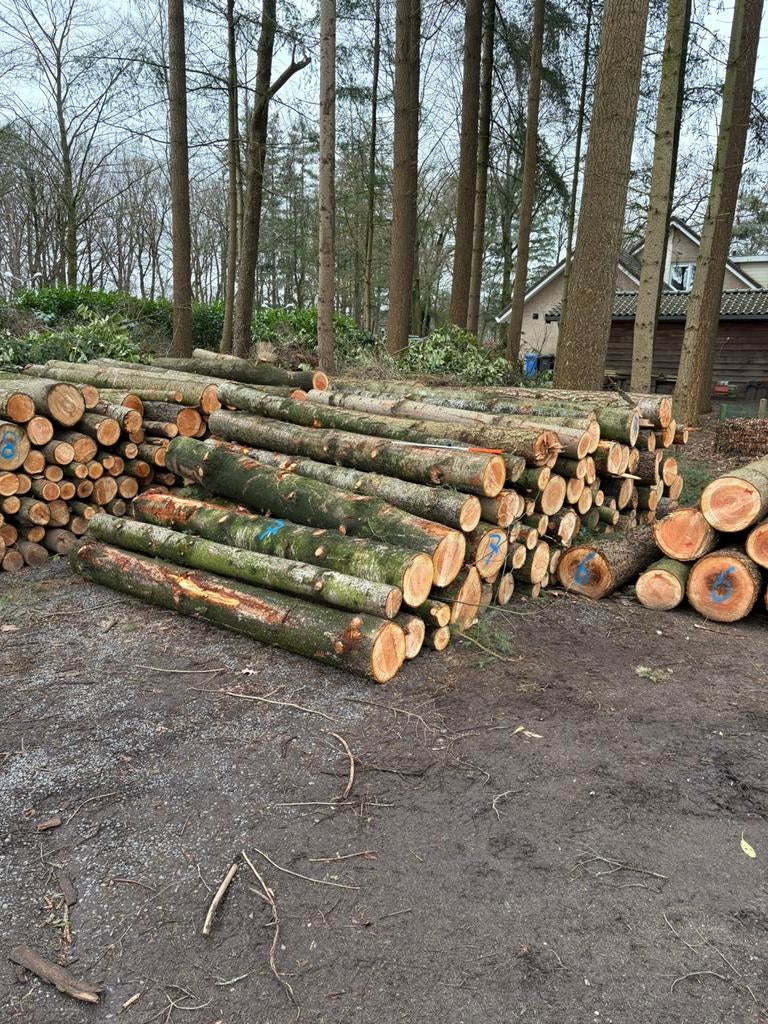 Stamhout naaldhout | douglas & fijnspar | brandhout, Tuin en Terras, Haardhout, 6 m³ of meer, Verzenden, Overige houtsoorten, Stammen