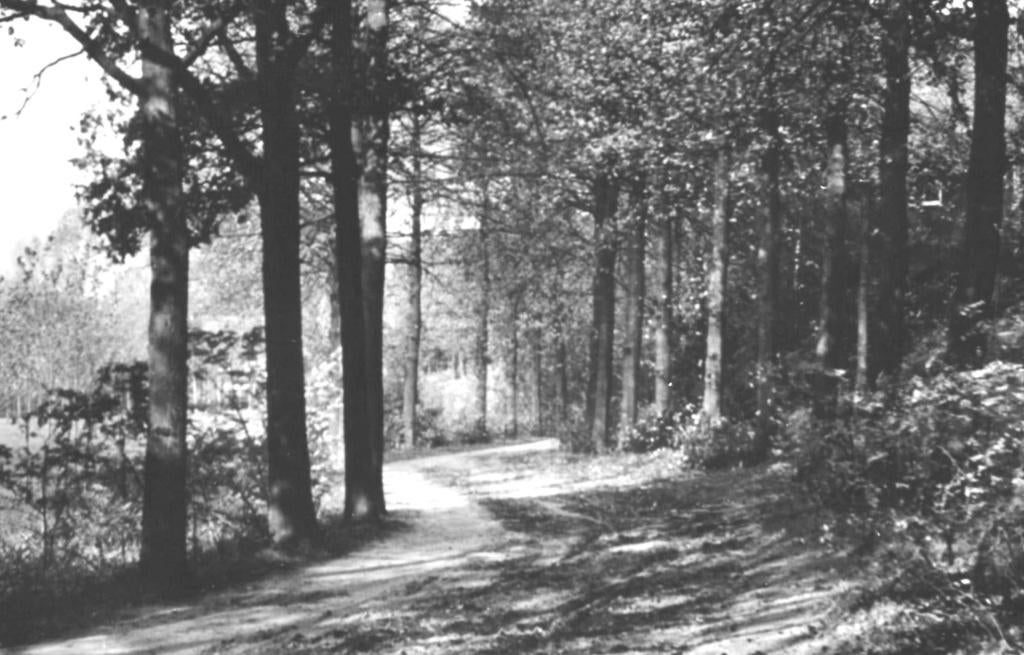 991349 Terborg 1964 G Wandellaan Paasberg Gelopen met zegel, Ophalen of Verzenden, 1960 tot 1980, Gelopen, Gelderland