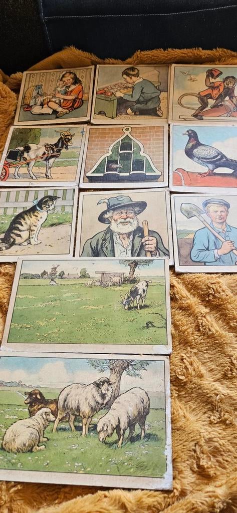 Originele platen van het grote leesplankje, Ophalen of Verzenden