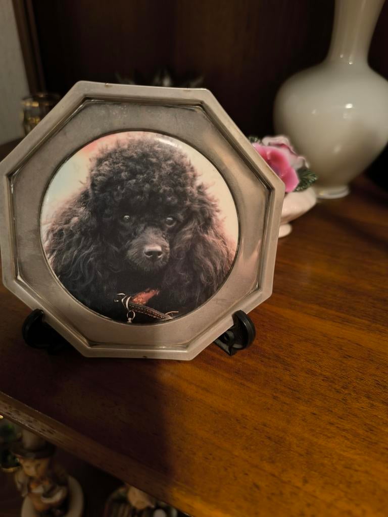 Zilverkleurig schaaltje met poedel afbeelding, Ophalen of Verzenden