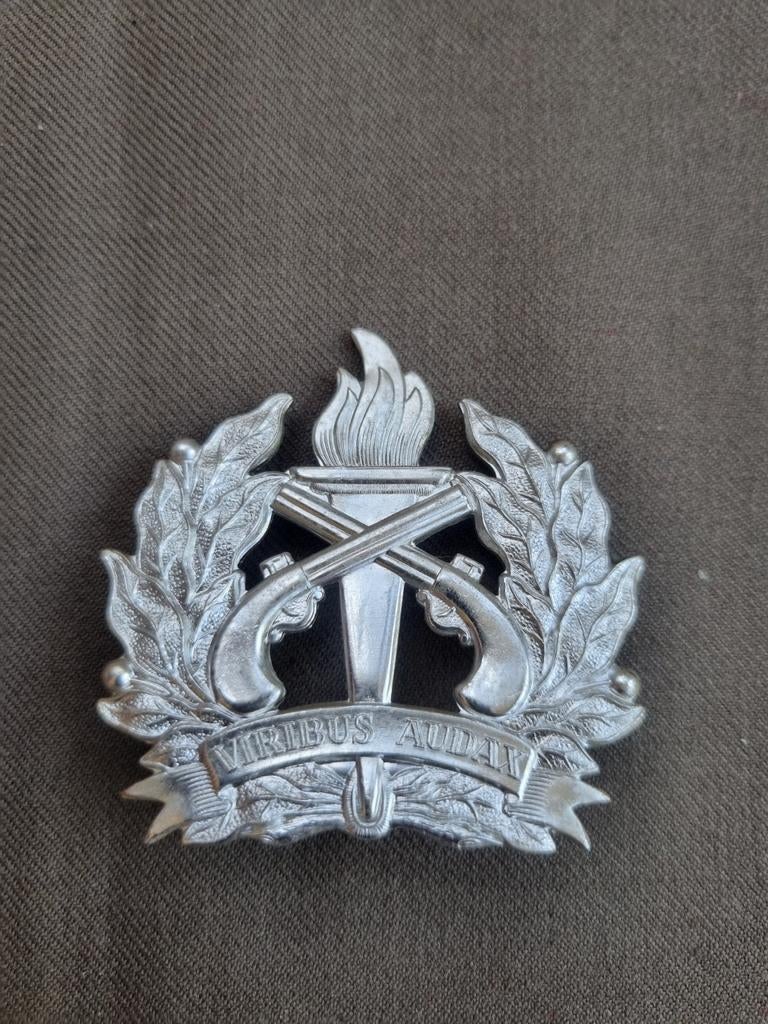 Petembleem politie Suriname, Verzamelen, Ophalen of Verzenden, Overige soorten, Nederland, Embleem of Badge