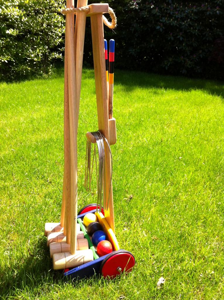 Cricket spel, Ophalen of Verzenden, Gebruikt