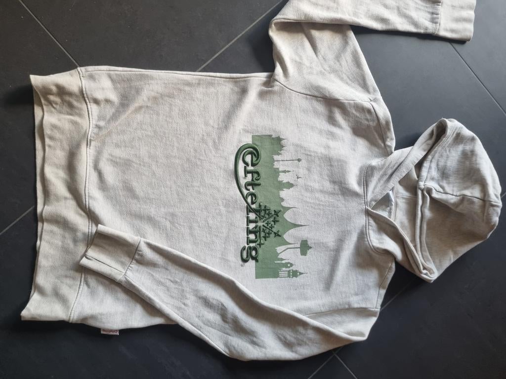 Originele Efteling Hoody - Perfect voor fans!, Kleding | Heren, Truien en Vesten, Gedragen, Maat 48/50 (M), Grijs, Ophalen of Verzenden