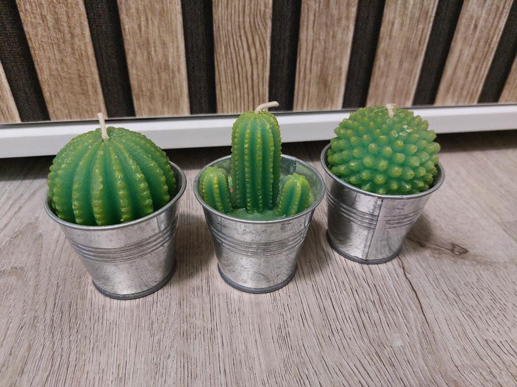 Cactuskaarsjes 3 stuks, Ophalen of Verzenden, Nieuw