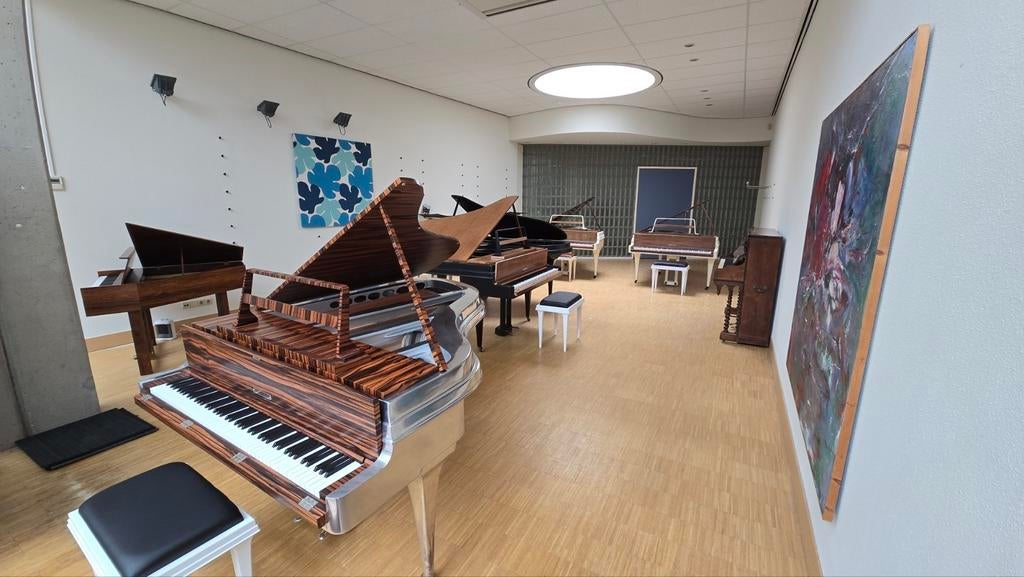 Unieke Silent vleugels te koop! Rippen Alu Grand!, Muziek en Instrumenten, Piano's, Ophalen, Zo goed als nieuw, Zwart, Vleugel