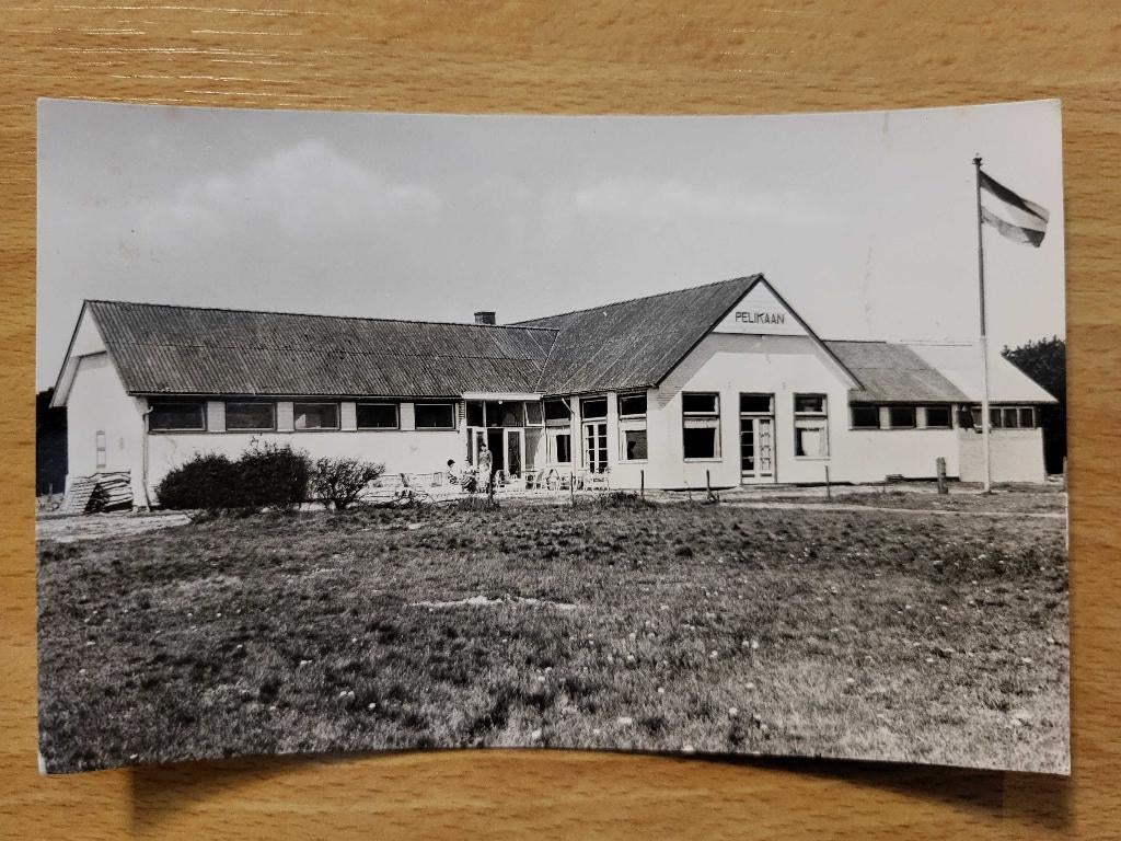 ansicht Texel Pelikaan De Koog, Ophalen of Verzenden, Voor 1920, Noord-Holland