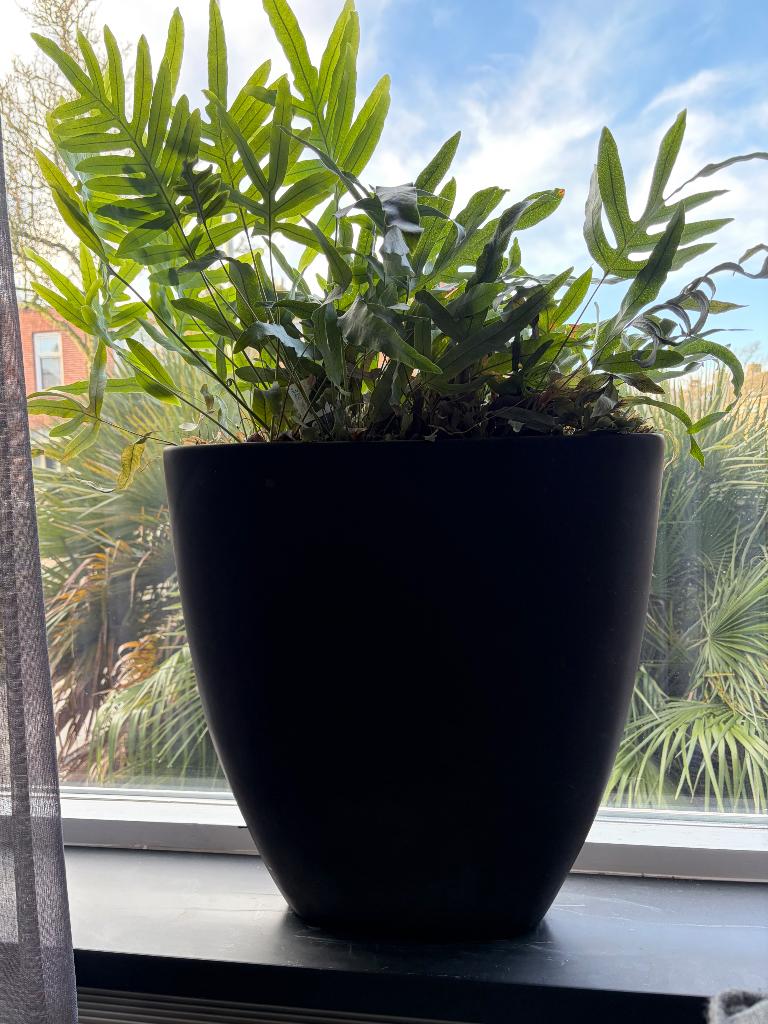 Vaas 50 cm zwart, Ophalen, Steen, Gebruikt, 50 tot 75 cm