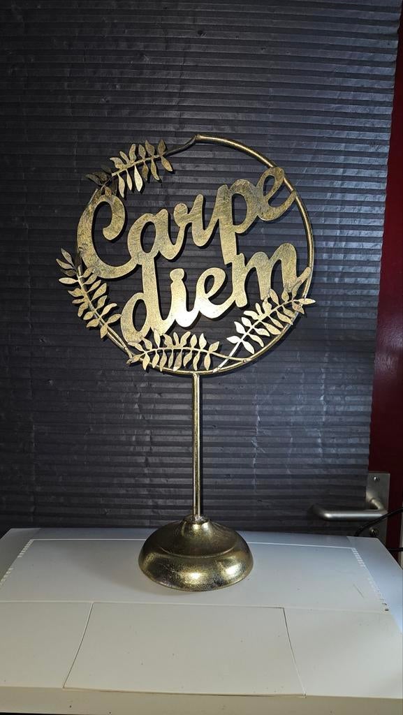 Carpe Diem metaal decoratie, Ophalen of Verzenden, Zo goed als nieuw