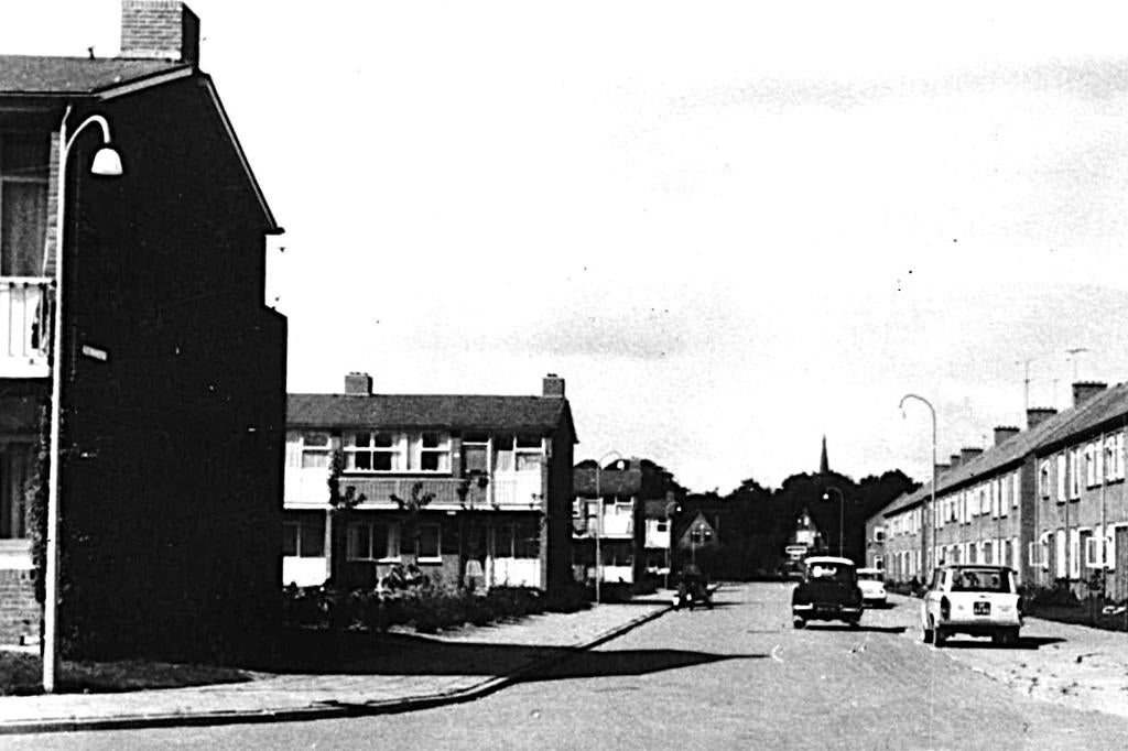 700529 Steenwijk Willem v Engenstraat  1964 Nette oude kaart, Ophalen of Verzenden, 1960 tot 1980, Ongelopen, Overijssel