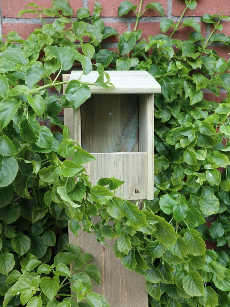 Nestkast  Roodborstje / Merel, Ophalen, Nieuw