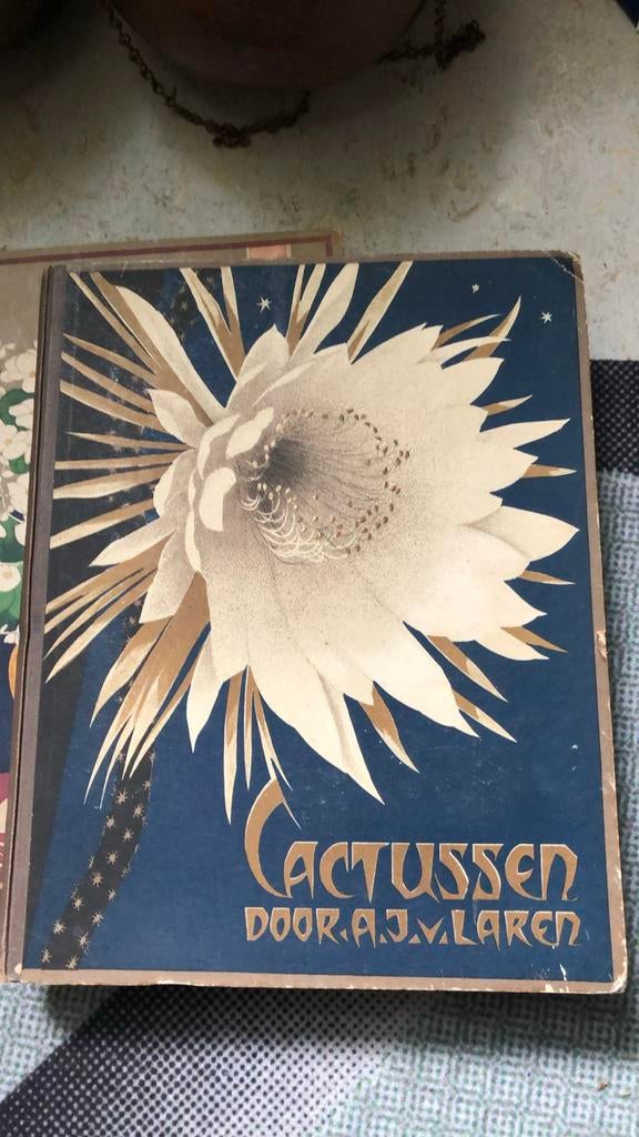 Verkade Boek- Cactussen, Ophalen of Verzenden, Gelezen, Kamerplanten