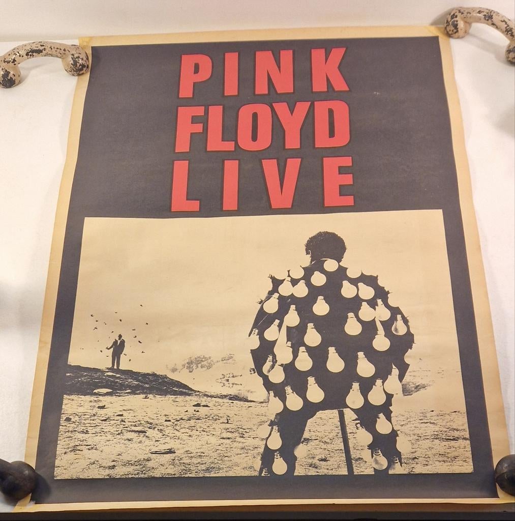 Pink Floyd Live "Delicate Sound of Thunder, Deurposter of groter, Ophalen of Verzenden, Muziek, Rechthoekig Staand