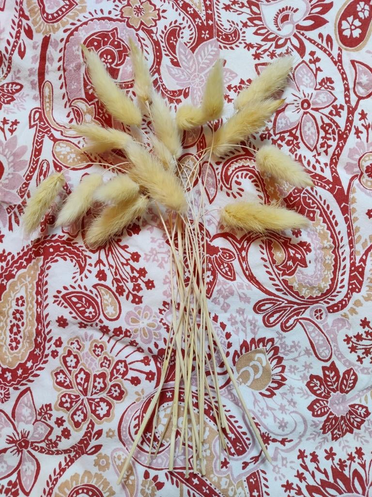 Droogbloemen voor in een klein vaasje, Ophalen of Verzenden