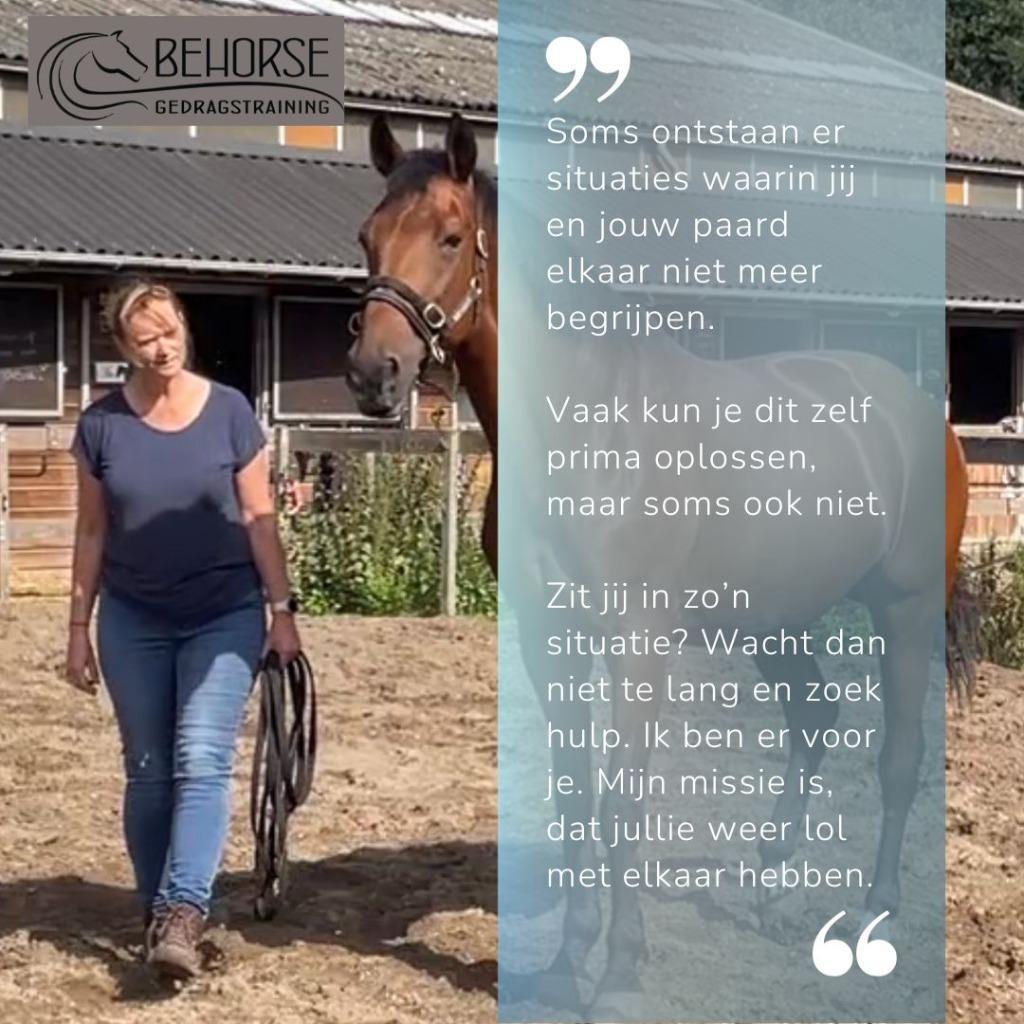 Gedragstraining | Trailerladen, Diensten en Vakmensen, Dieren | Paarden | Verzorging, Oppas en Les, Gedragstraining