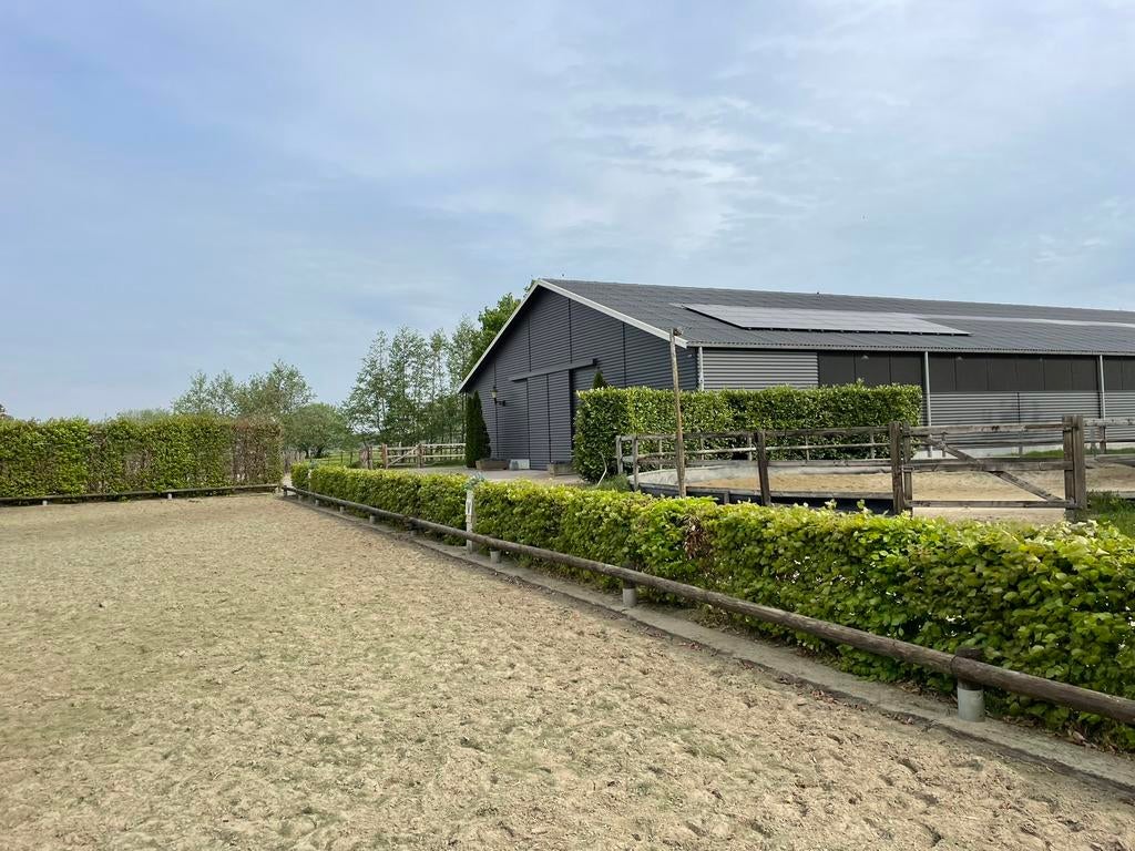 Plekje vrij privestal (ruin), Weidegang, 2 of 3 paarden of pony's