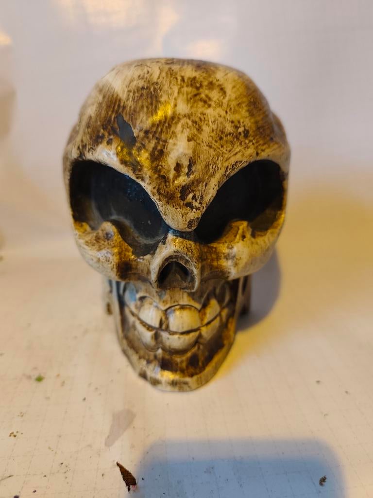 Houten schedel, Antiek en Kunst, Ophalen of Verzenden
