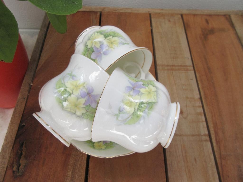 Cambridge Garden Collection Fine Bone China, Ophalen of Verzenden, Zo goed als nieuw, Overige stijlen, Kop(pen) en/of Schotel(s)