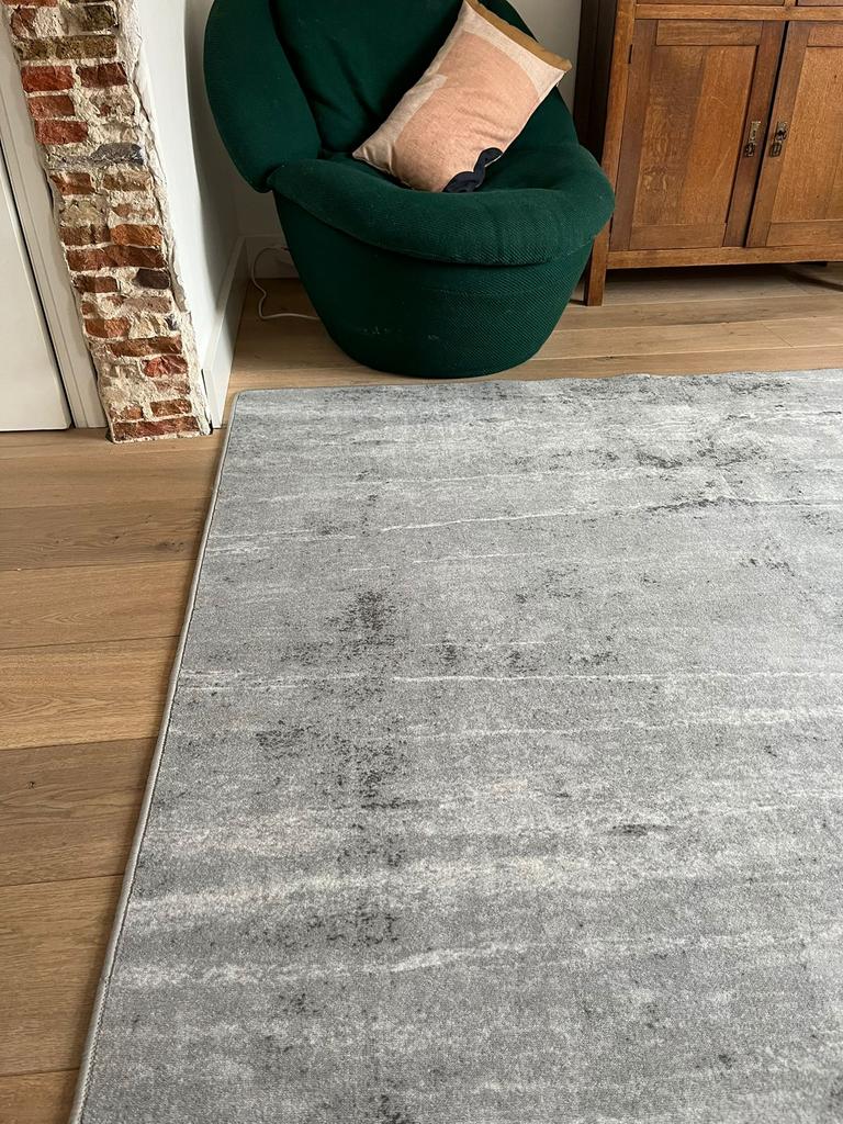 Splinternieuw Desso & Ex Nature vloerkleed 200 x 300 cm, Ophalen of Verzenden, 200 cm of meer, Desso & Ex Nature, Grijs