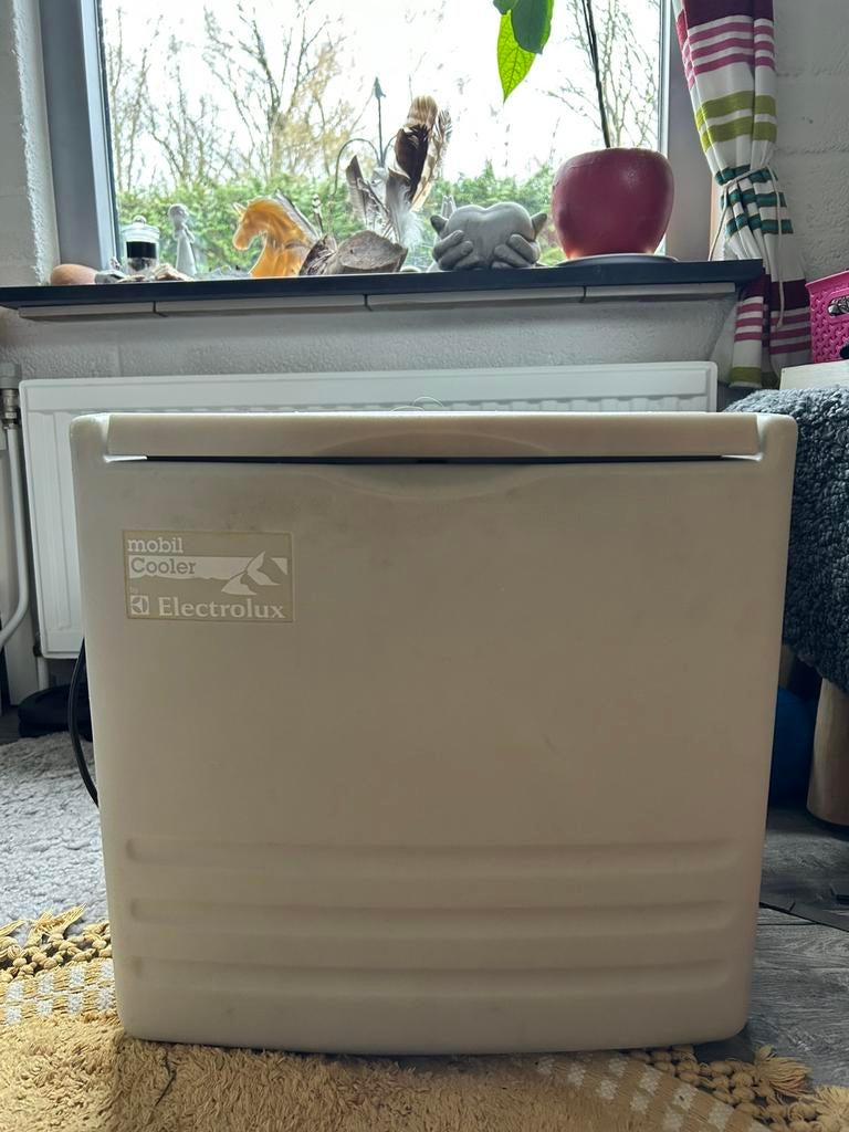 Electrolux koelkast / koelbox 12 volt / 220 volt en gas, Ophalen, Zo goed als nieuw, Elektrisch