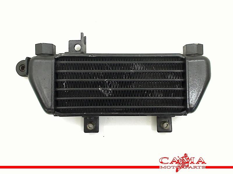 OLIEKOELER Triumph Tiger 955 2001-2006 (T709EN 955i), Motoren, Dhr. S. di Majo, Gebruikt, Info@cama-motorparts.nl, P.J. Troelstraweg 8 8
3144 CX  MAASSLUIS, NL