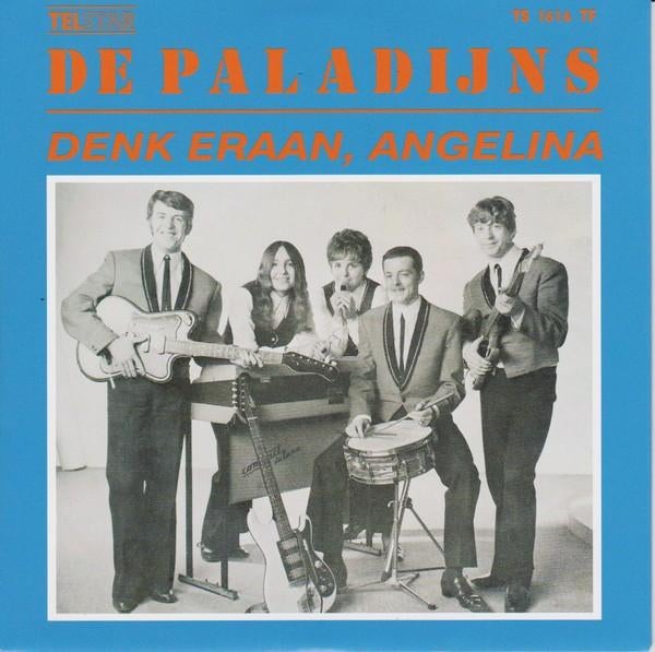 Nieuwpersingen vinylsingles de paladijns gezocht, Ophalen of Verzenden, Zo goed als nieuw, Overige formaten, Levenslied of Smartlap