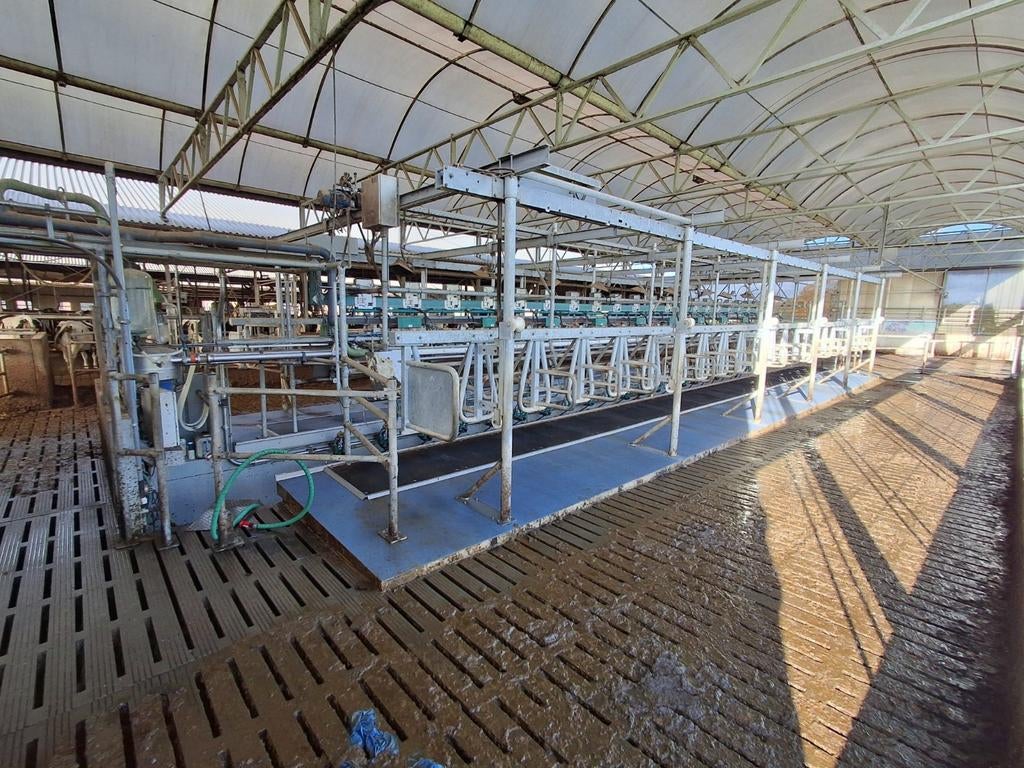 Melkstal 22 stands swing over GEA, Ophalen of Verzenden