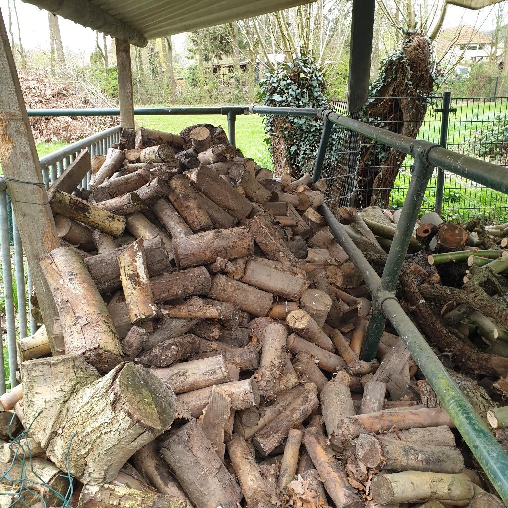haardhout, gedroogd en vers * aanbieding !, Tuin en Terras, Haardhout, 6 m³ of meer, Ophalen, Overige houtsoorten, Stammen