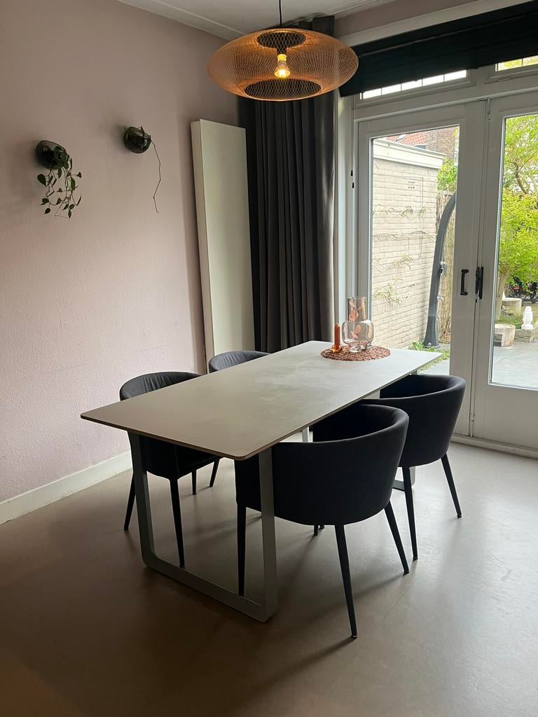 Eetkamer stoelen, Huis en Inrichting, Stoelen, Ophalen, Gebruikt, Vier, Modern