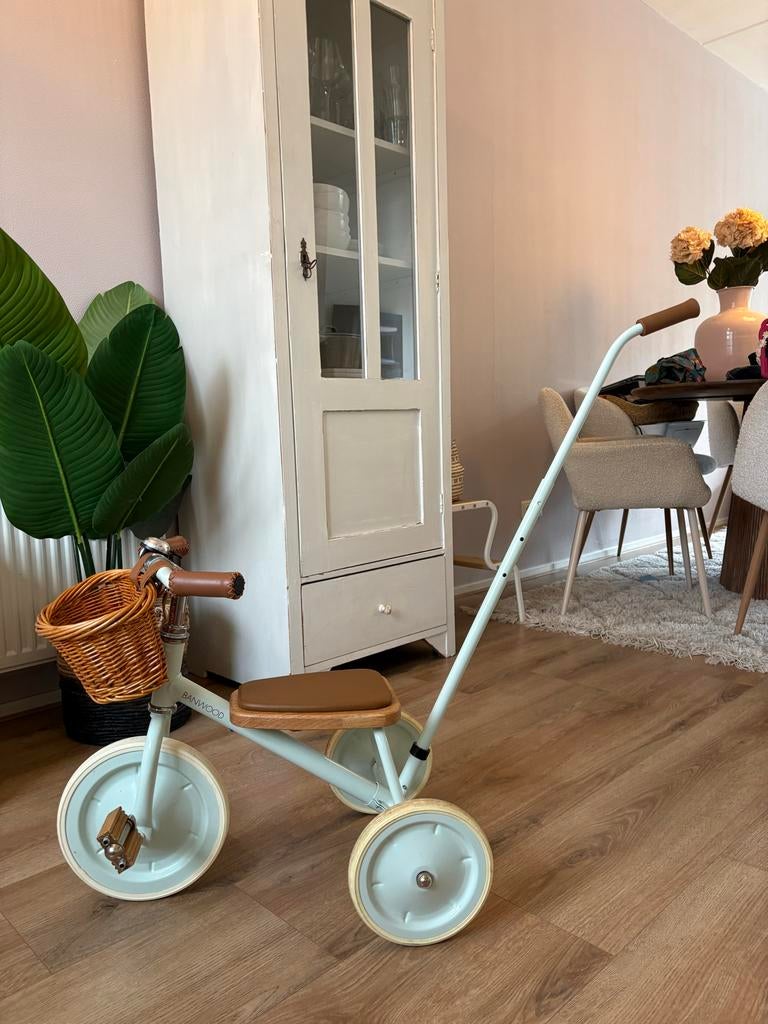 Banwood Trike Driewieler Pale Mint, Ophalen, Zo goed als nieuw, Duwstang
