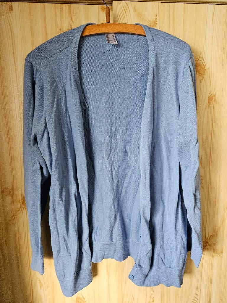 Vest lichtblauw, babyblauw nieuw 46, Verzenden, Nieuw, Maat 46/48 (XL) of groter, Blauw