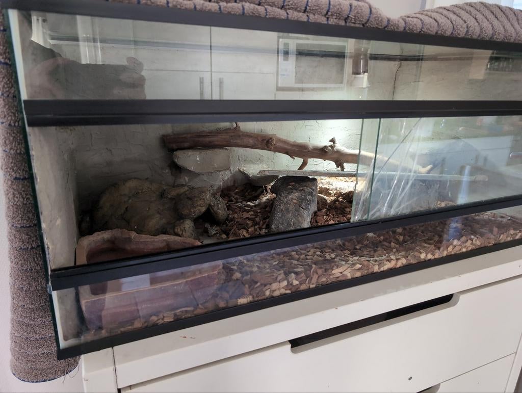 Terrarium met toebehoren, gratis, Dieren en Toebehoren, Ophalen, Zo goed als nieuw