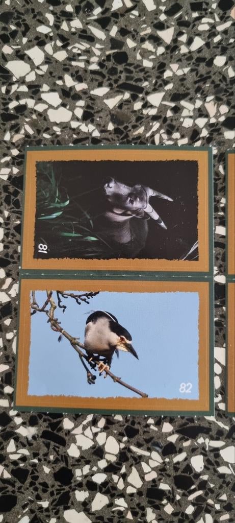 Speciale Artis Stickers - Verborgen Parels (Exclusief), Ophalen of Verzenden, Zo goed als nieuw, Dier en Natuur