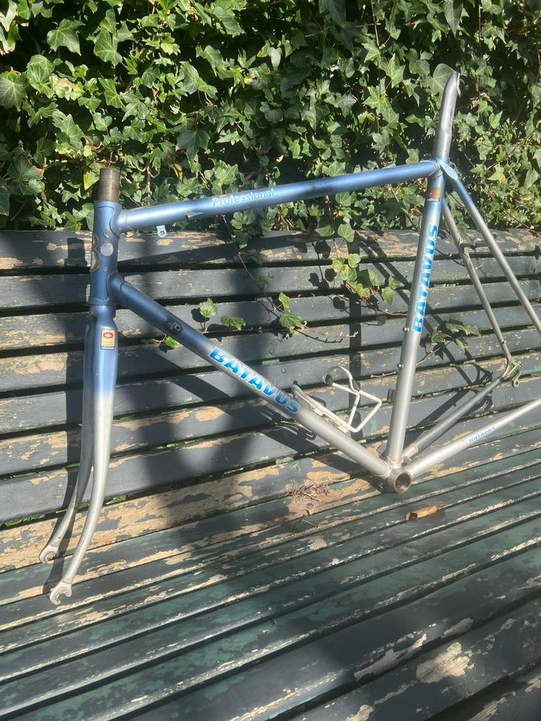 Batavus Professional maat 56cm dropout campagnolo, Fietsen en Brommers, Fietsonderdelen, Ophalen of Verzenden, Zo goed als nieuw