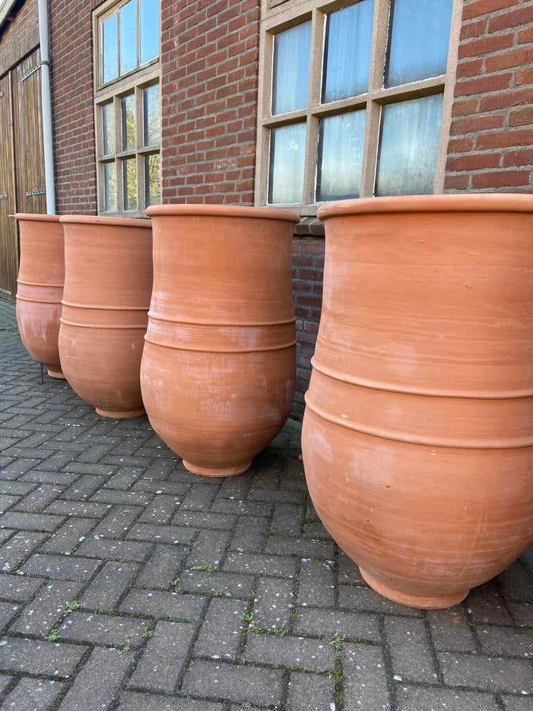 Mega terracotta tuinpotten, Ophalen, 40 cm of meer, Rond, Nieuw
