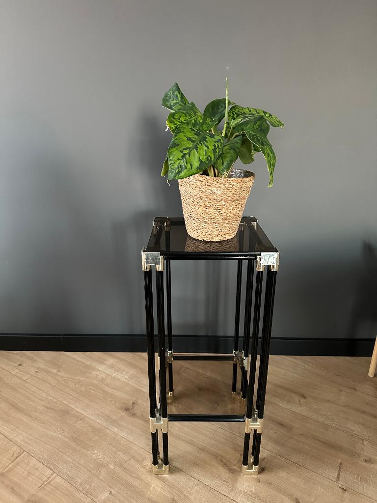 Vintage glazen metaal plantenstandaard bijzet tafel, Huis en Inrichting, Ophalen, Minder dan 55 cm, 60 cm of meer, Rechthoekig