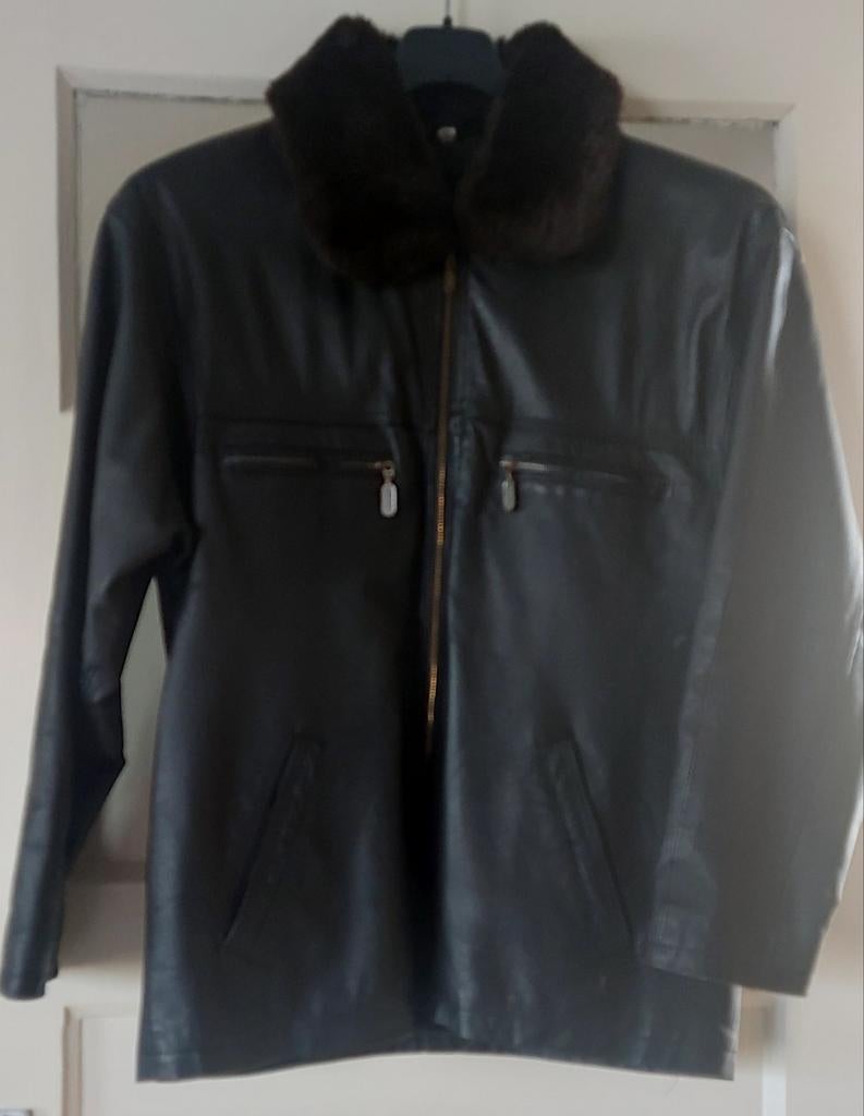 Winter jas, Kleding | Dames, Jassen | Winter, Gedragen, Maat 38/40 (M), Zwart, Ophalen of Verzenden