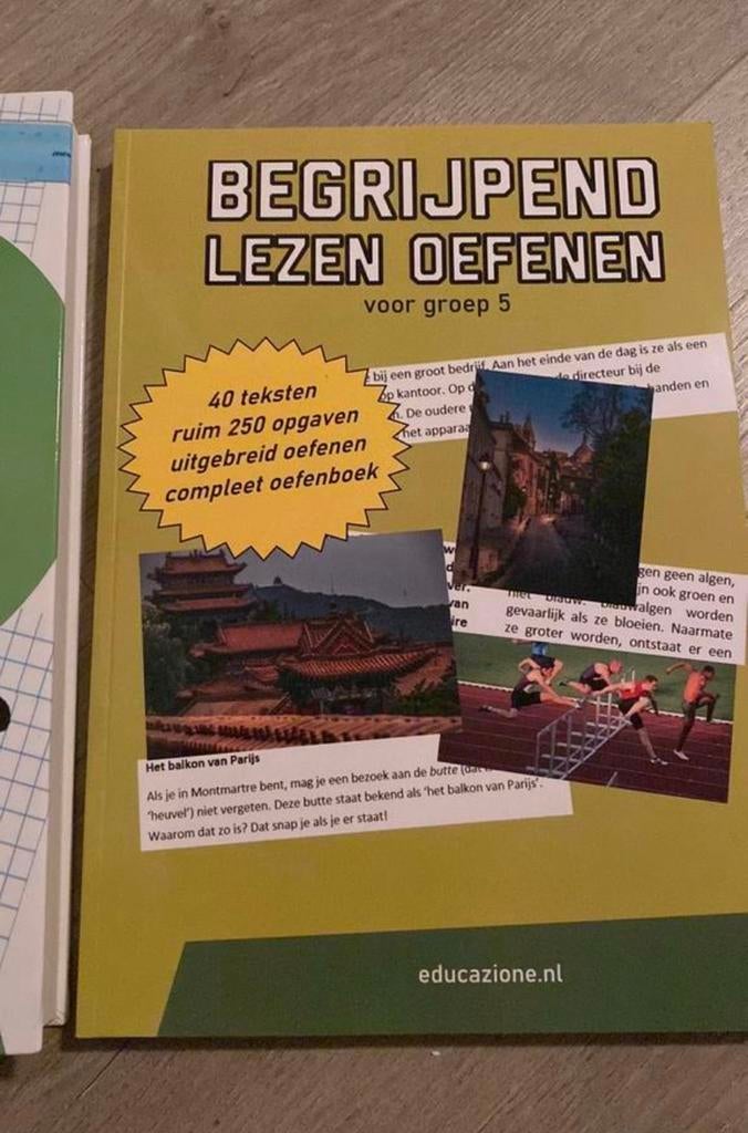 Begrijpend lezen groep 5 oefenen - Cito - Leerling in Beeld, Boeken, Schoolboeken, Ophalen of Verzenden, Nieuw, Overige niveaus