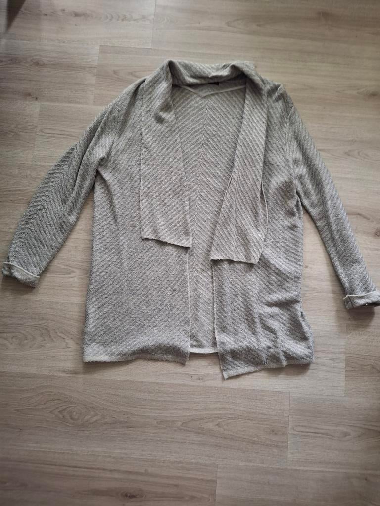 Grijs vest maat L, Maat 42/44 (L), Ophalen of Verzenden, Grijs, Gedragen