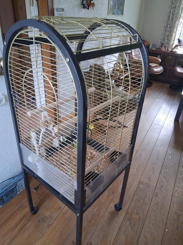 Papagaai kooi, Dieren en Toebehoren, Vogels | Hokken en Kooien, Ophalen of Verzenden, Metaal, Vogelkooi